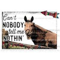 Cant nobody tell me nothin horse Sublimation transfers Heat Transfer