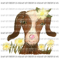 Goat Daisy Flowers Sublimation transfers Heat Transfer