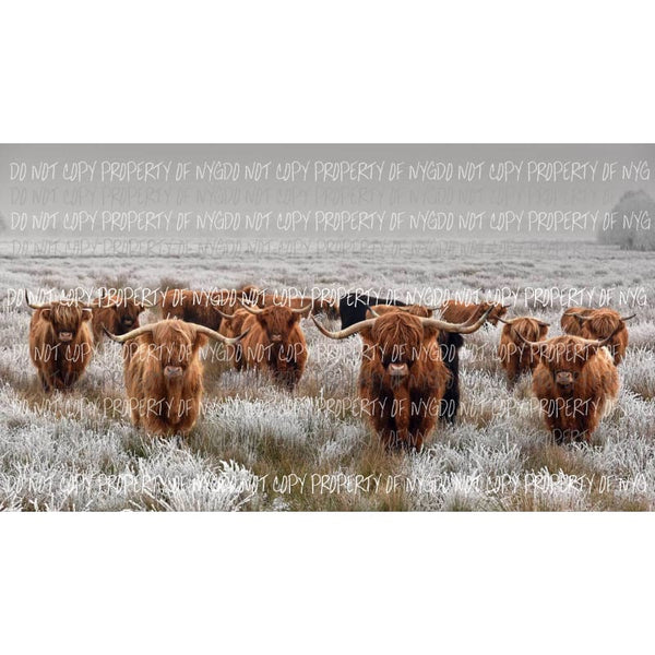 highland cattle Sublimation transfers Heat Transfer