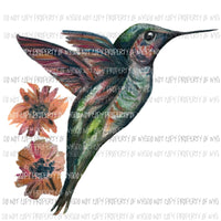 Hummingbird Sublimation transfers Heat Transfer