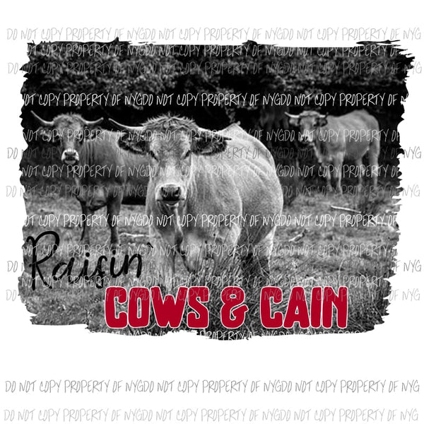 Raisin cows Sublimation transfers Heat Transfer