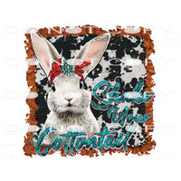 Shake Your Cottontail #9887 Sublimation transfers - Heat