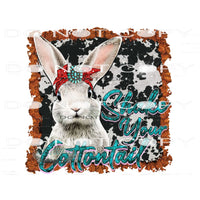 Shake Your Cottontail #9946 Sublimation transfers - Heat