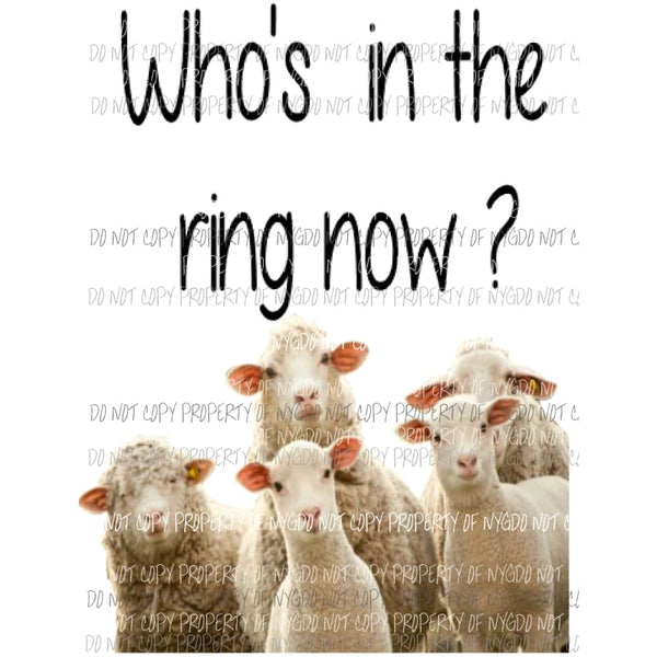 whos in the ring now sheep Sublimation transfers live stock show animals Heat Transfer