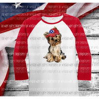 Yorkie with hat Sublimation transfers Heat Transfer